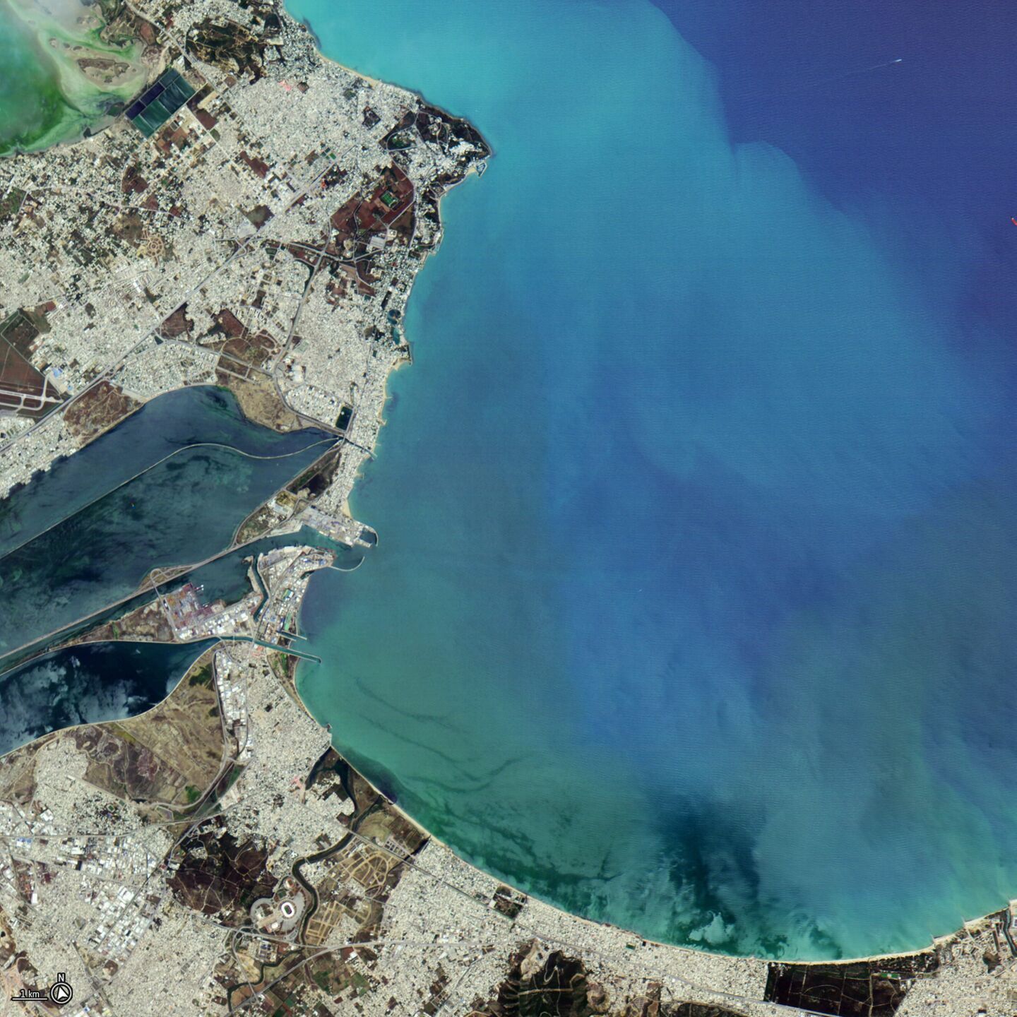 Incredible first images from shoebox-sized AI satellite show Earth as art